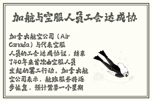 野花视频在线观看最新免费